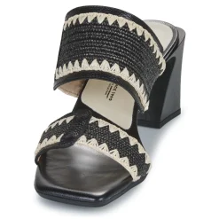 Hispanitas - MIAMI-HV253946