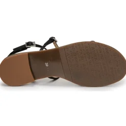 JB Martin - GRIOTTES