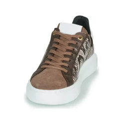 JB Martin - HIBISCUS