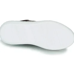 JB Martin - HIBISCUS