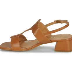 JB Martin - VIOLAINE