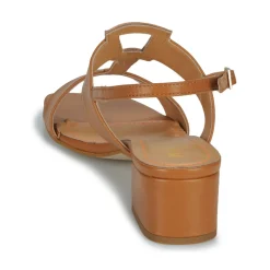 JB Martin - VIOLAINE