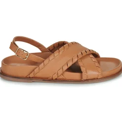 L'Atelier Tropézien - CHV1601