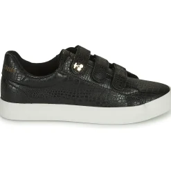 Le Temps des Cerises - VIC