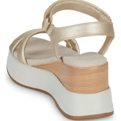 Les Petites Bombes - FIONA