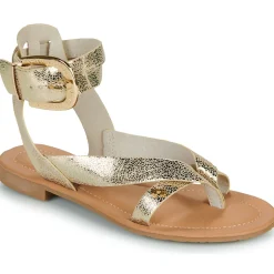 Les Petites Bombes - FIRMA