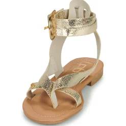 Les Petites Bombes - FIRMA