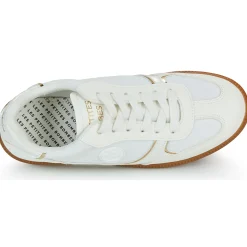 Les Petites Bombes - LIVIA