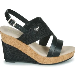 Les Petites Bombes - MELINE