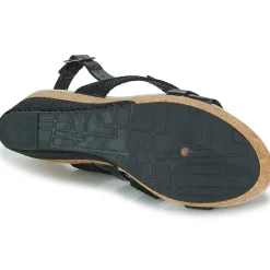 Les Petites Bombes - MELINE