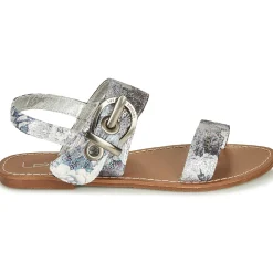 Les Petites Bombes - PERVENCHE