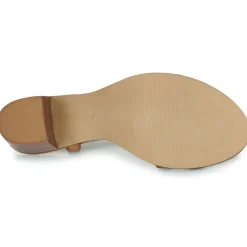 Les Tropéziennes par M Belarbi - LINALIE