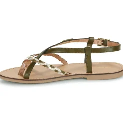 Les Tropéziennes par M Belarbi - CHOU