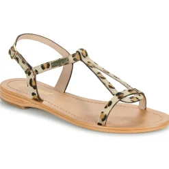 Les Tropéziennes par M Belarbi - HAMAT