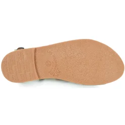 Les Tropéziennes par M Belarbi - CHOU