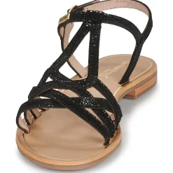 Les Tropéziennes par M Belarbi - HASTRO