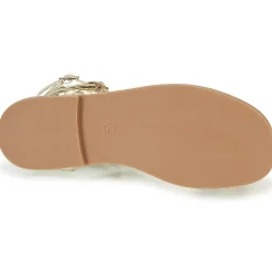 Les Tropéziennes par M Belarbi - CORALIE