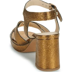 Les Tropéziennes par M Belarbi - LINESS