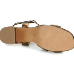 Les Tropéziennes par M Belarbi - LINESS