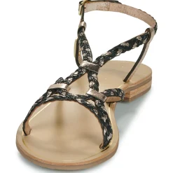 Les Tropéziennes par M Belarbi - HOMARIE