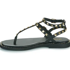 Les Tropéziennes par M Belarbi - CORAZE