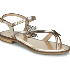 Les Tropéziennes par M Belarbi - HESPERI