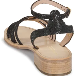 Les Tropéziennes par M Belarbi - HIREEN