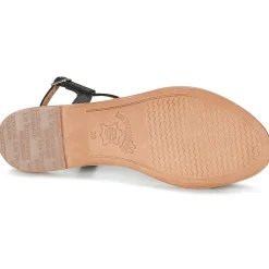 Les Tropéziennes par M Belarbi - HAMAT