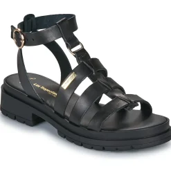 Les Tropéziennes par M Belarbi - TOBO