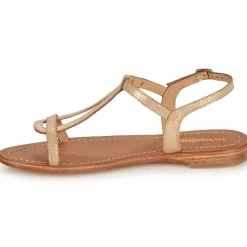 Les Tropéziennes par M Belarbi - HAMAT