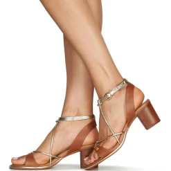 Les Tropéziennes par M Belarbi - LILON