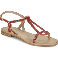 Les Tropéziennes par M Belarbi - HAPPY