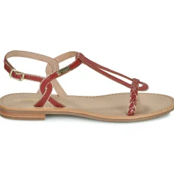 Les Tropéziennes par M Belarbi - HAPPY