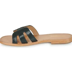 Les Tropéziennes par M Belarbi - HADAMIA