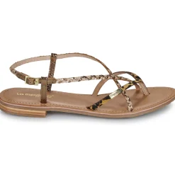 Les Tropéziennes par M Belarbi - MONATRES