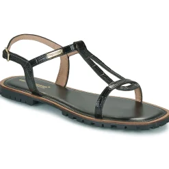 Les Tropéziennes par M Belarbi - HEXTAZ