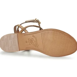 Les Tropéziennes par M Belarbi - HILATRES