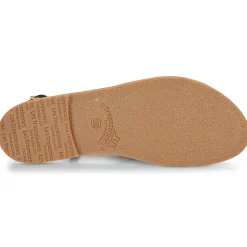 Les Tropéziennes par M Belarbi - CHOU