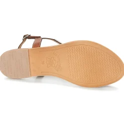 Les Tropéziennes par M Belarbi - HAMESS