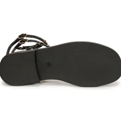 Les Tropéziennes par M Belarbi - Coralie