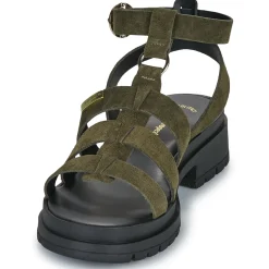 Les Tropéziennes par M Belarbi - TOBOSUED