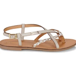 Les Tropéziennes par M Belarbi - CHOU