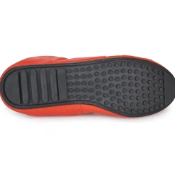 Mac Douglas - ELIANE