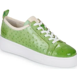 Melvin & Hamilton - AMBER 6