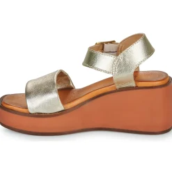 Metamorf'Ose - NABOT