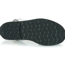 Minorquines - AVARCA