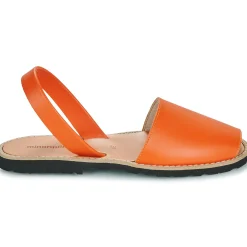 Minorquines - AVARCA