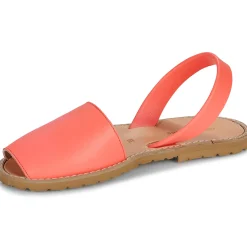 Minorquines - AVARCA