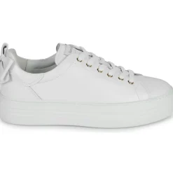 NeroGiardini - E306521D-707