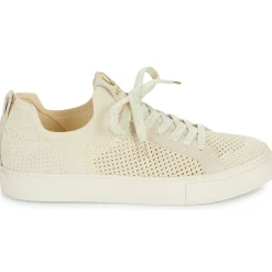 No Name - ARCADE FLY W